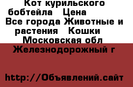 Кот курильского бобтейла › Цена ­ 5 000 - Все города Животные и растения » Кошки   . Московская обл.,Железнодорожный г.